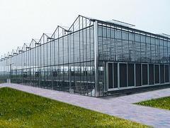 广厦玻璃温室大棚_给你不一样的效果 玻璃温室大棚制作(玻璃温室大棚,玻)--浙江武义广厦钢结构桂林分公司